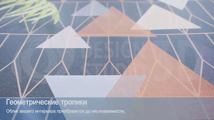 3D Фотообои "Геометрические тропики”