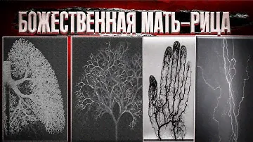 Сакральная геометрия в нашем ДНК! Фрактальная Вселенная