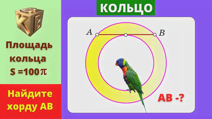 ПЛОЩАДЬ КОЛЬЦА!