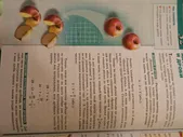 Математика. Арифметика. Геометрия. 5 класс. Учебник. ФП. ФГОС