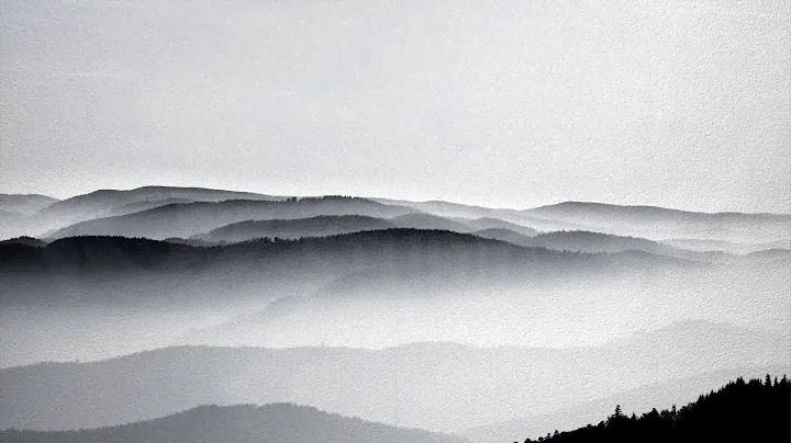 3D Фотообои «Черно-белый пейзаж»