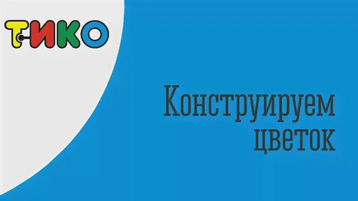 Конструируем цветы из конструктора "ТИКО"
