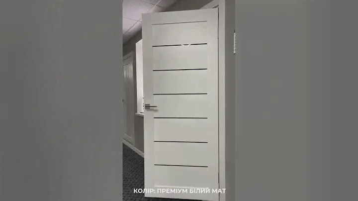 Дверне полотно SherWood  колекції Sline модель S1