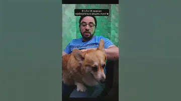 Секрет для решения геометрии от Чарли 🐶#егэ2023 #математикапрофиль2023 #математика #егэ