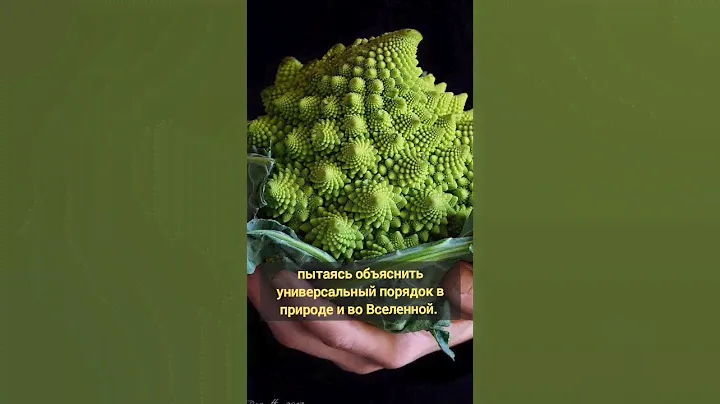 Как Сакральная геометрия проявляет себя в природе? #сакральныезнания #образование